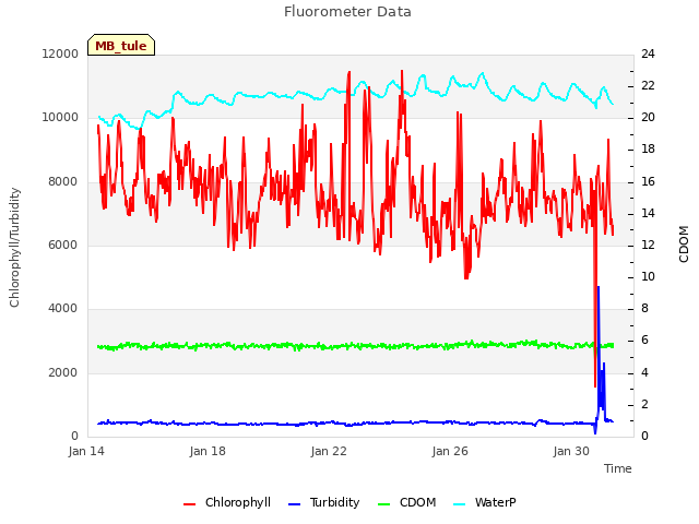 Explore the graph:Fluorometer Data in a new window