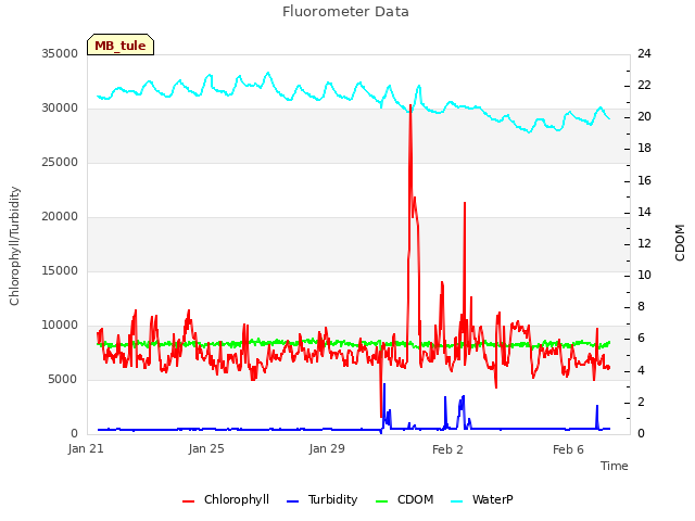 Explore the graph:Fluorometer Data in a new window