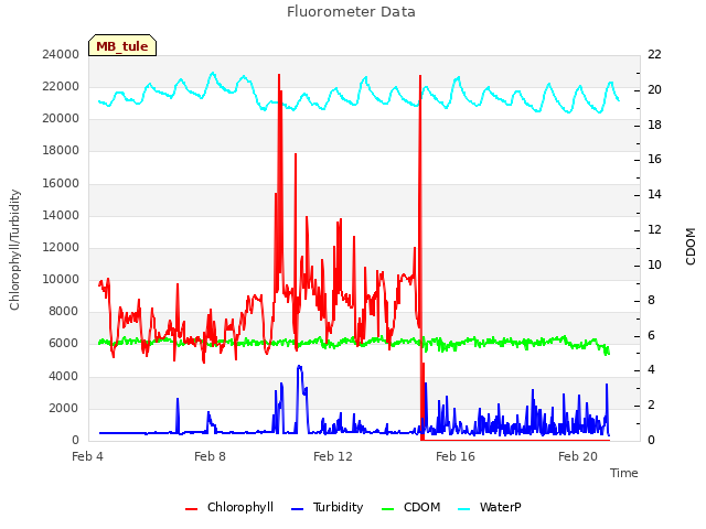 Explore the graph:Fluorometer Data in a new window