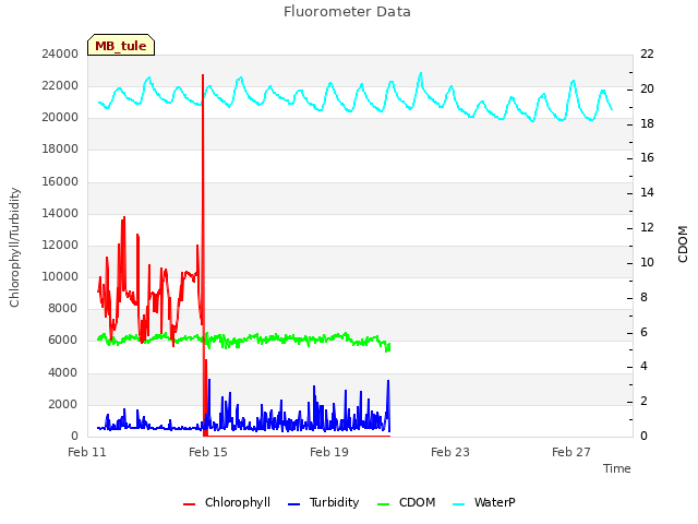 Explore the graph:Fluorometer Data in a new window