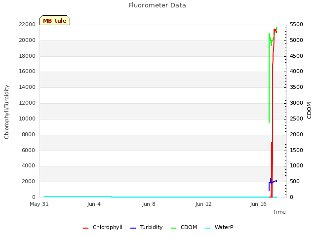 Explore the graph:Fluorometer Data in a new window