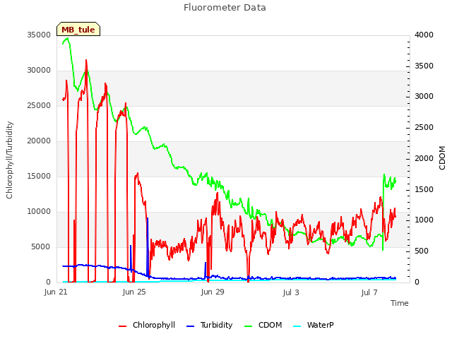 Explore the graph:Fluorometer Data in a new window