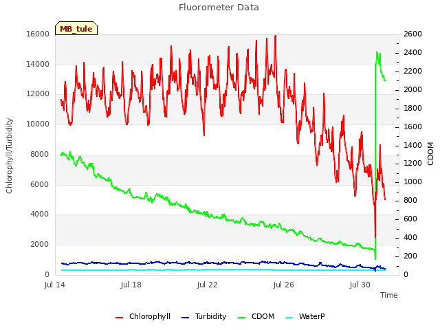 Explore the graph:Fluorometer Data in a new window