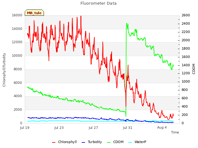 Explore the graph:Fluorometer Data in a new window