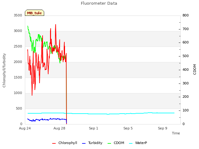 Explore the graph:Fluorometer Data in a new window