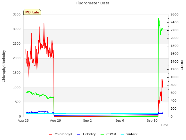 Explore the graph:Fluorometer Data in a new window