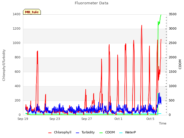 Explore the graph:Fluorometer Data in a new window