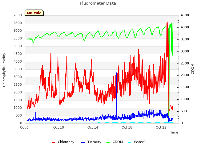 Explore the graph:Fluorometer Data in a new window