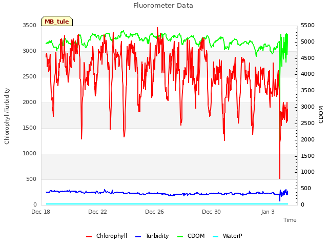 Explore the graph:Fluorometer Data in a new window