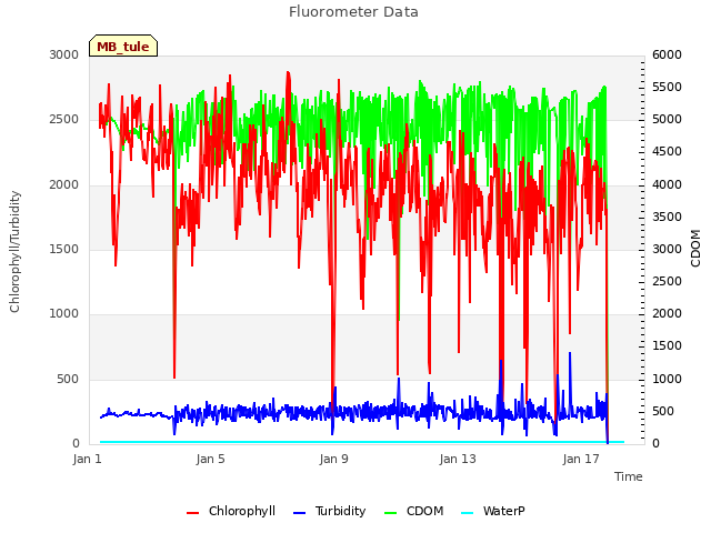 Explore the graph:Fluorometer Data in a new window