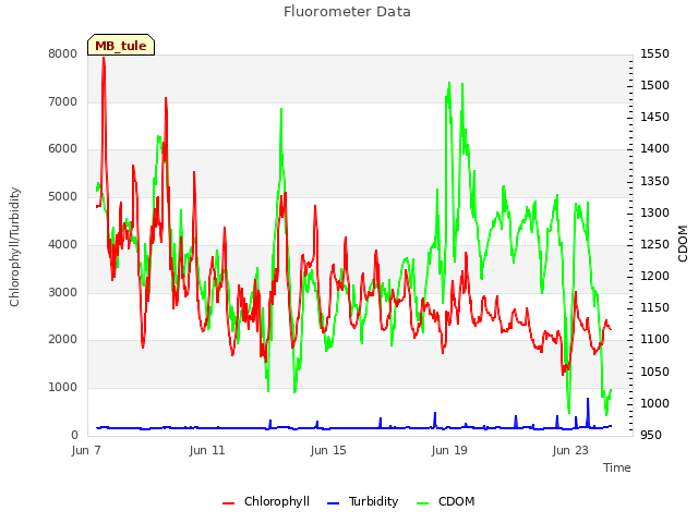 Fluorometer Data