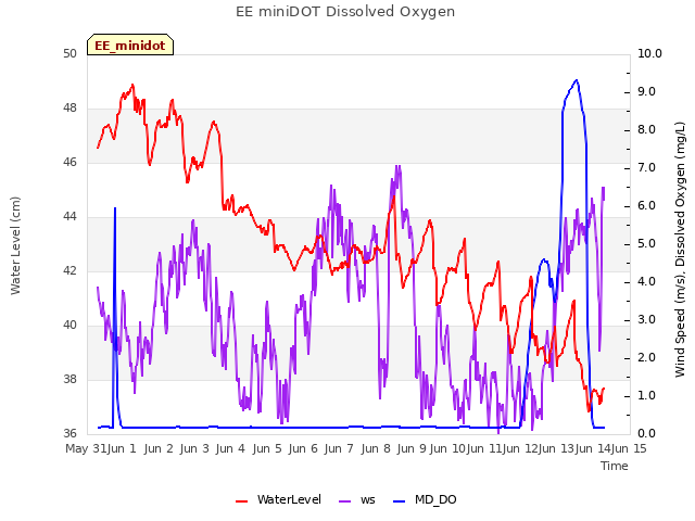 plot of EE miniDOT Dissolved Oxygen