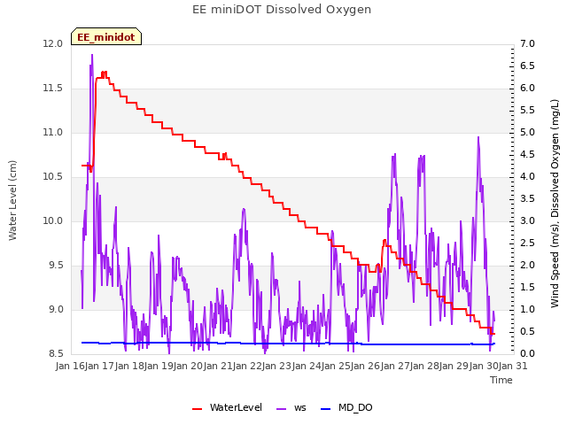 plot of EE miniDOT Dissolved Oxygen