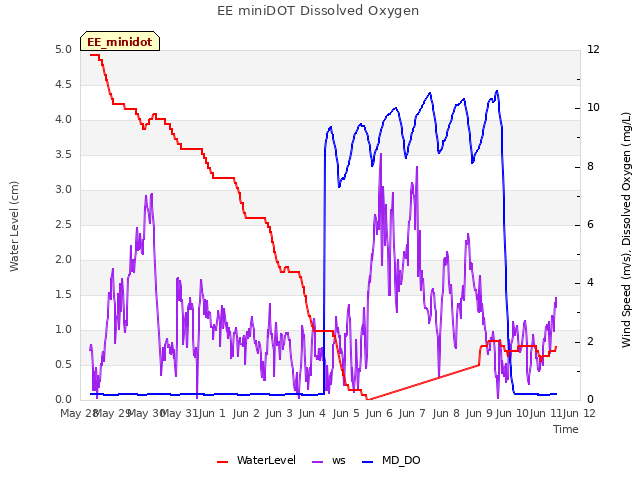 plot of EE miniDOT Dissolved Oxygen