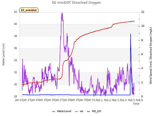 plot of EE miniDOT Dissolved Oxygen