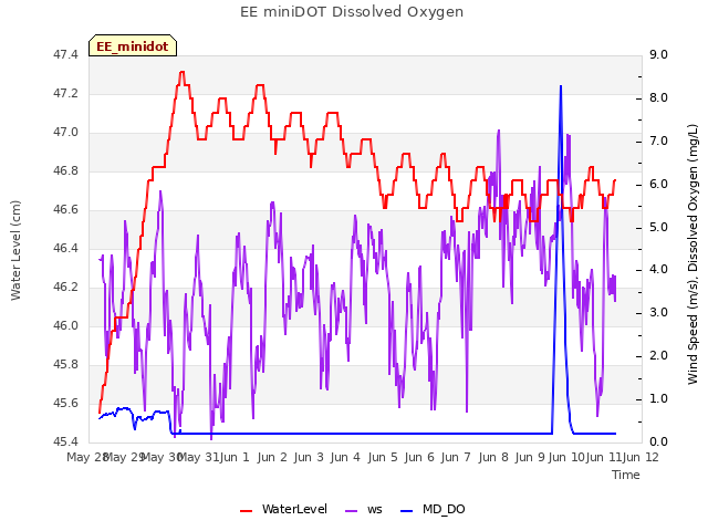 plot of EE miniDOT Dissolved Oxygen