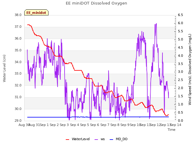 plot of EE miniDOT Dissolved Oxygen