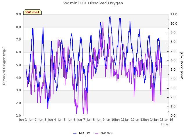 plot of SW miniDOT Dissolved Oxygen