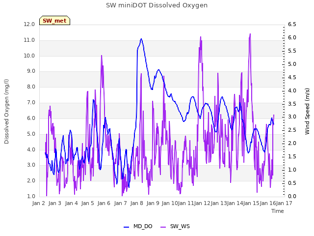 plot of SW miniDOT Dissolved Oxygen