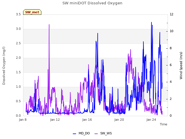 Explore the graph:SW miniDOT Dissolved Oxygen in a new window