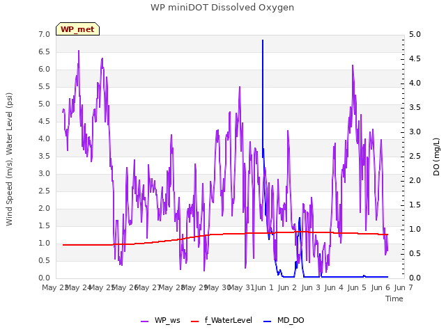 plot of WP miniDOT Dissolved Oxygen