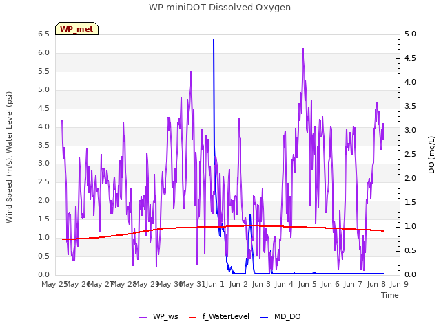 plot of WP miniDOT Dissolved Oxygen