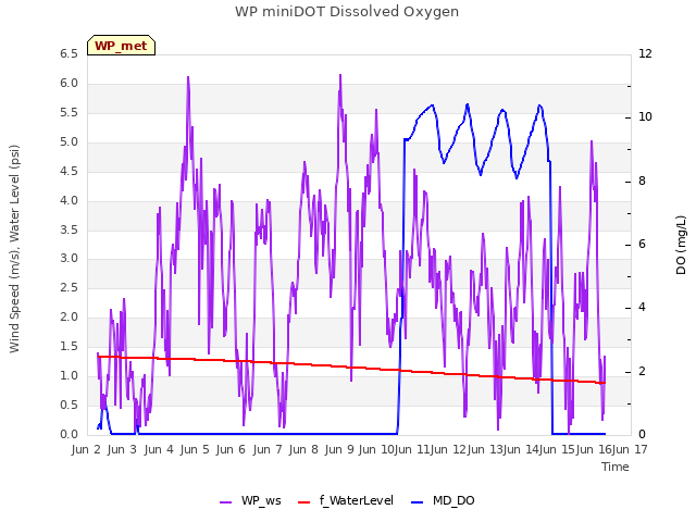 plot of WP miniDOT Dissolved Oxygen