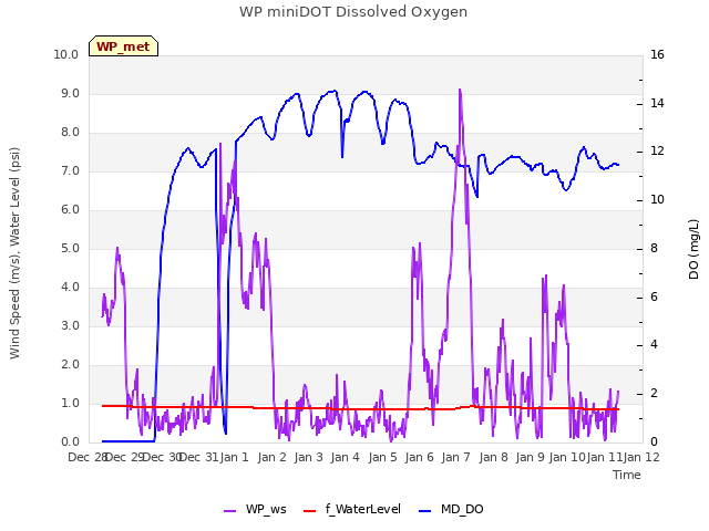 plot of WP miniDOT Dissolved Oxygen