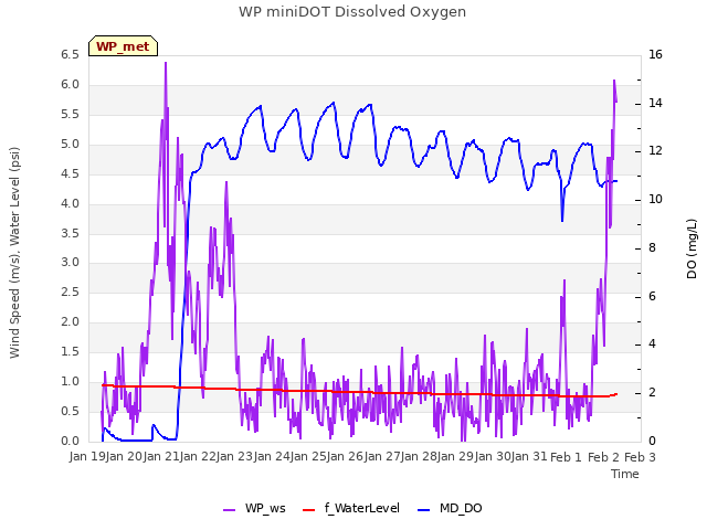 plot of WP miniDOT Dissolved Oxygen