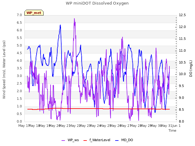 plot of WP miniDOT Dissolved Oxygen