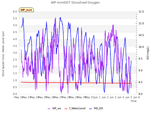 plot of WP miniDOT Dissolved Oxygen