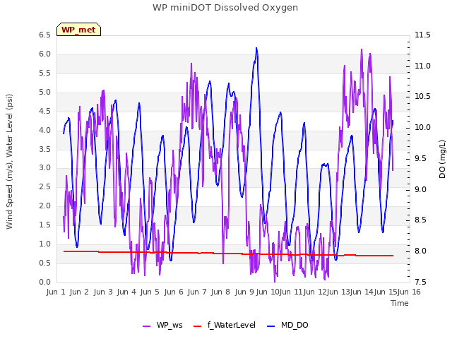 plot of WP miniDOT Dissolved Oxygen