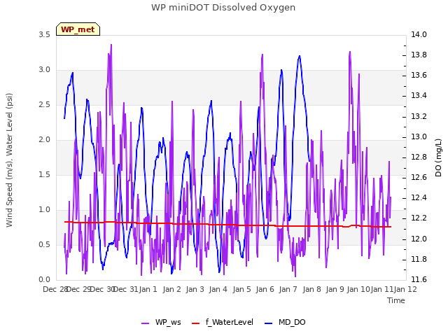 plot of WP miniDOT Dissolved Oxygen