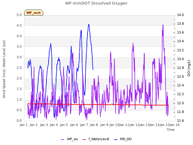 plot of WP miniDOT Dissolved Oxygen