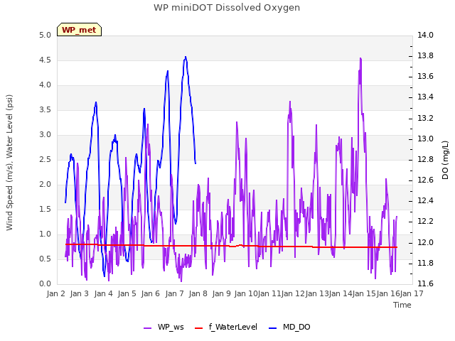 plot of WP miniDOT Dissolved Oxygen