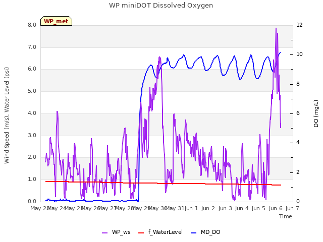 plot of WP miniDOT Dissolved Oxygen