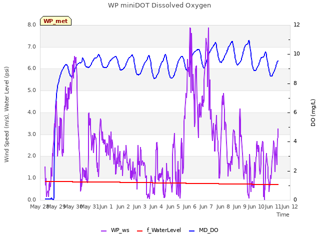 plot of WP miniDOT Dissolved Oxygen