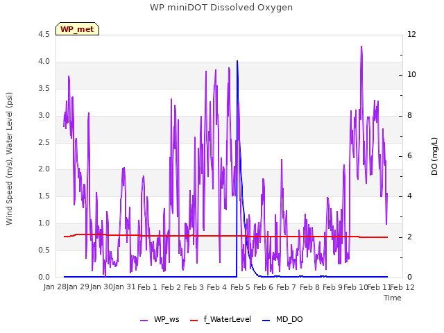 plot of WP miniDOT Dissolved Oxygen