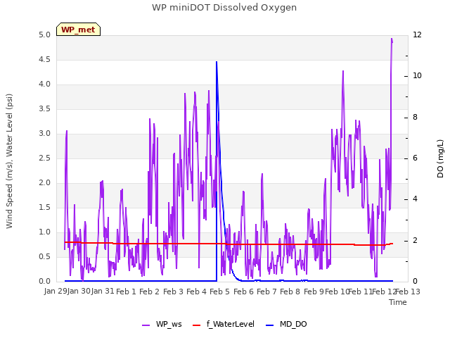 plot of WP miniDOT Dissolved Oxygen