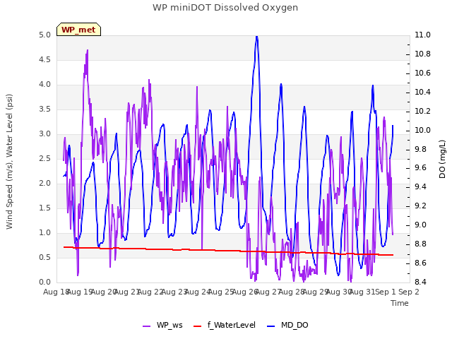 plot of WP miniDOT Dissolved Oxygen