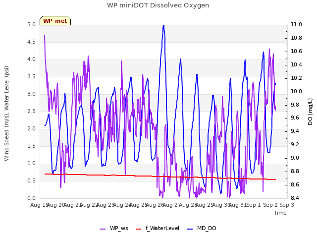 plot of WP miniDOT Dissolved Oxygen