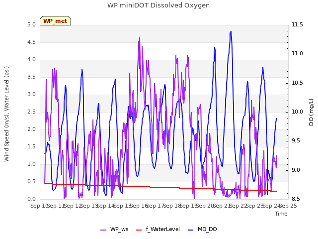 plot of WP miniDOT Dissolved Oxygen