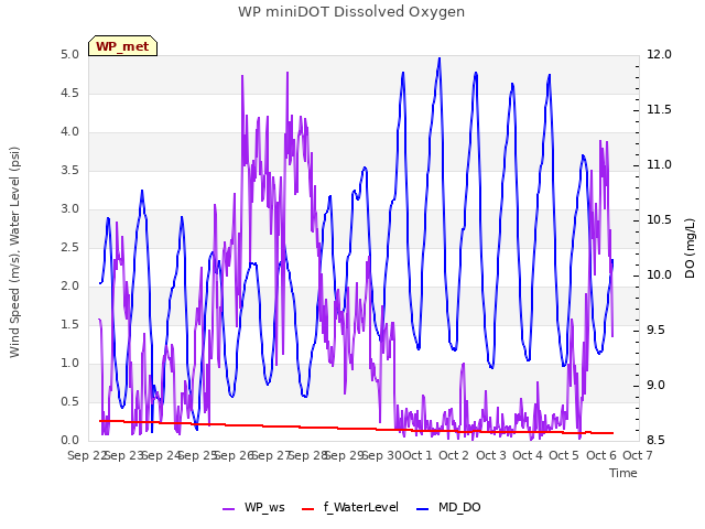 plot of WP miniDOT Dissolved Oxygen