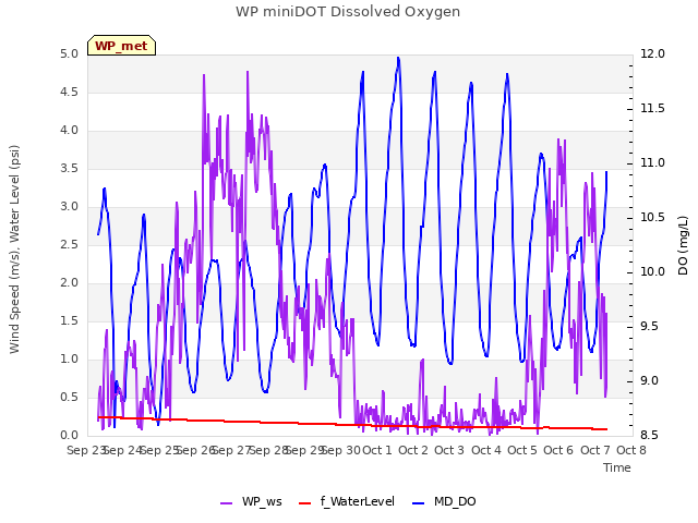 plot of WP miniDOT Dissolved Oxygen