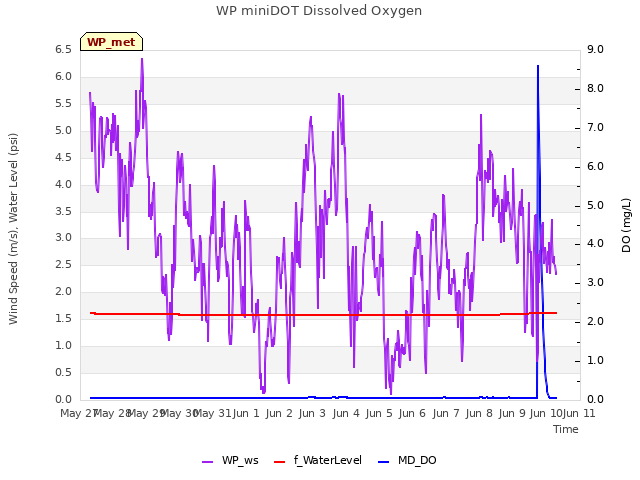 plot of WP miniDOT Dissolved Oxygen