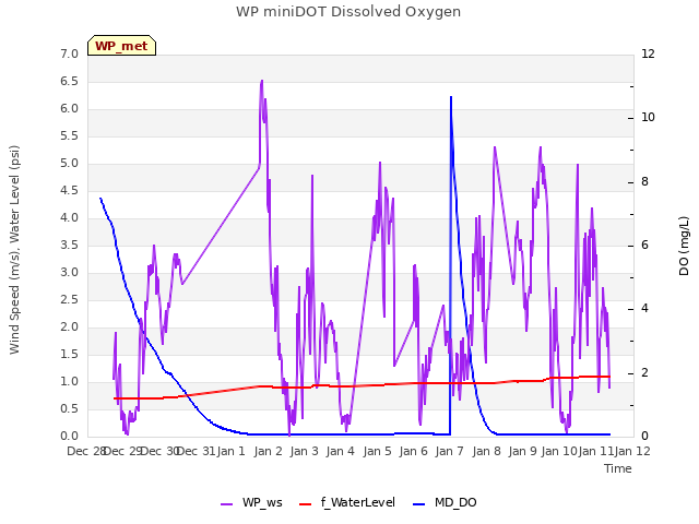 plot of WP miniDOT Dissolved Oxygen