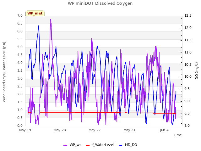 Explore the graph:WP miniDOT Dissolved Oxygen in a new window