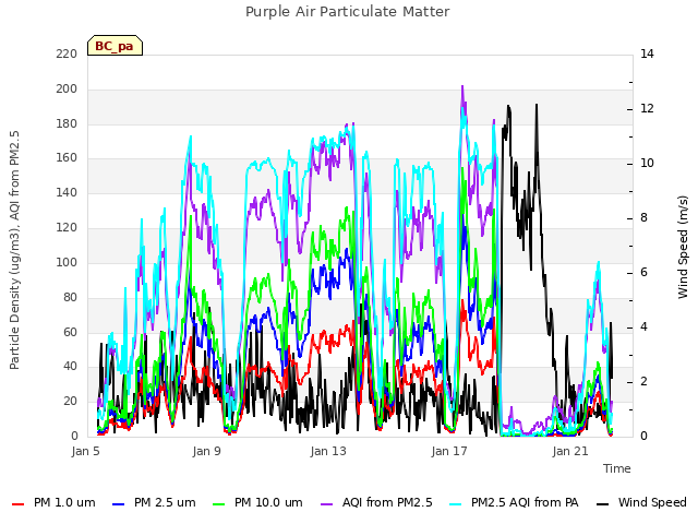 Explore the graph:Purple Air Particulate Matter in a new window