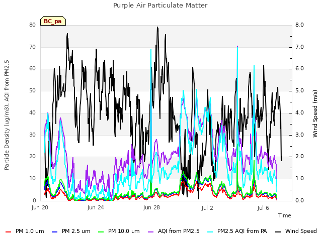 Explore the graph:Purple Air Particulate Matter in a new window