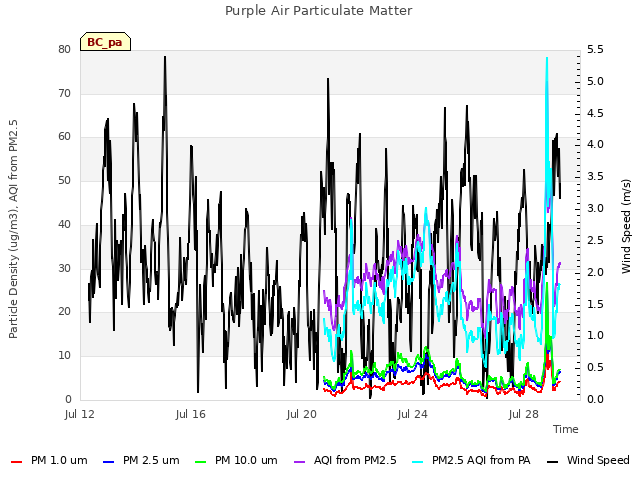 Explore the graph:Purple Air Particulate Matter in a new window